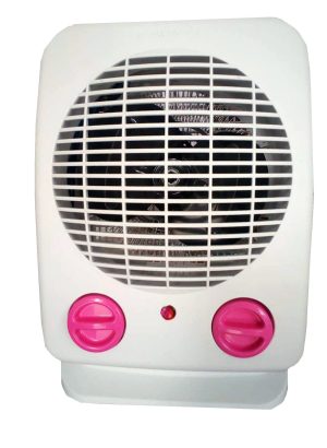 Ventilo soufflant RS2000