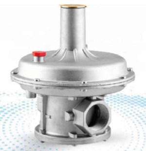 Regulateur de Gaz ERG-H 5050